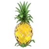 Ananas Idyllia