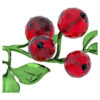 Baies rouges Idyllia