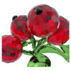 Baies rouges Idyllia