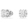Boucles d’oreilles Stilla à tige, taille ronde, blanches, plaquées rhodium Boucles d’oreilles Stilla à tige, taille ronde, blanches, plaquées rhodium