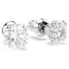 Boucles d’oreilles Stilla à tige, taille ronde, blanches, plaquées rhodium Boucles d’oreilles Stilla à tige, taille ronde, blanches, plaquées rhodium
