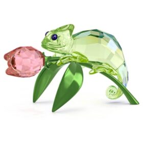 Caméléon et tulipe Idyllia