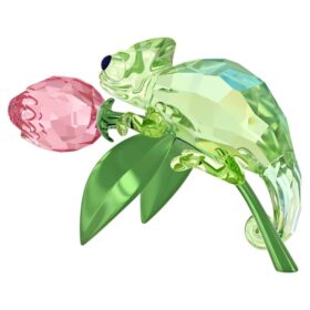 Caméléon et tulipe Idyllia