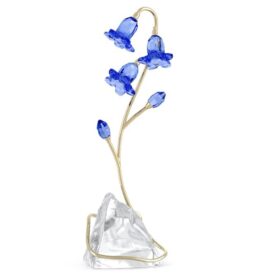 Campanule bleue de Florere