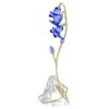 Campanule bleue de Florere Campanule bleue de Florere