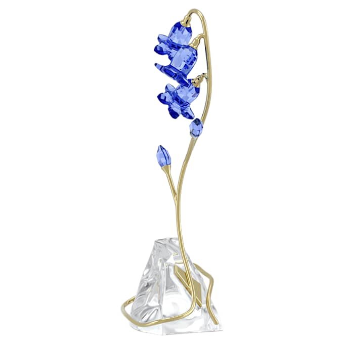 Campanule bleue de Florere Campanule bleue de Florere