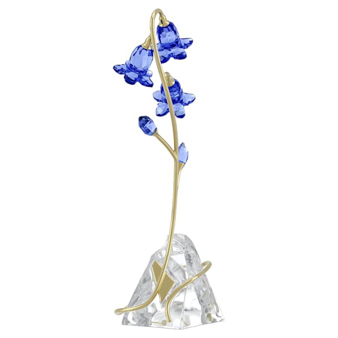 Campanule bleue de Florere Campanule bleue de Florere