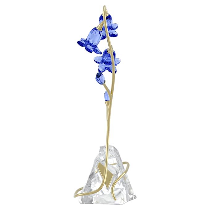 Campanule bleue de Florere Campanule bleue de Florere