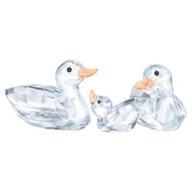 Canards