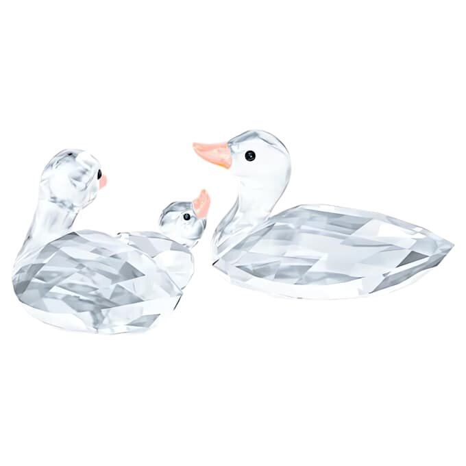 Canards Canards