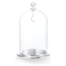 Cloche de vitrine grande