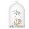 Cloche en verre « Florere » 130e anniversaire Cloche en verre « Florere » 130e anniversaire