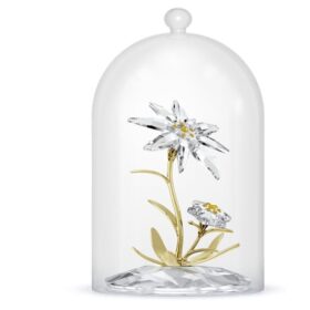 Cloche en verre « Florere » 130e anniversaire