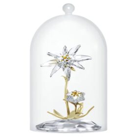 Cloche en verre « Florere » 130e anniversaire