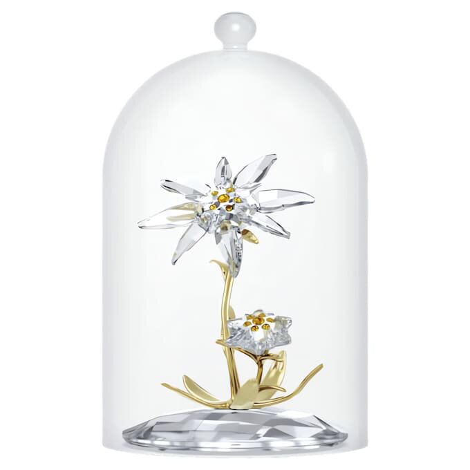 Cloche en verre « Florere » 130e anniversaire Cloche en verre « Florere » 130e anniversaire