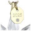 Coffret d’ornements 3D Édition annuelle 2025 Coffret d’ornements 3D Édition annuelle 2025
