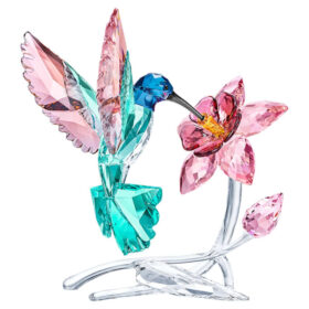 Colibri Colibri