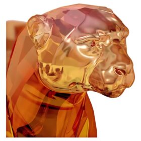 Édition limitée : le guépard