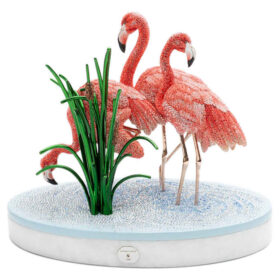 Flamants roses « Crystal Myriad »