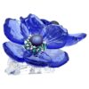 Fleur d’anémone coronaria Idyllia SCS Fleur d’anémone coronaria Idyllia SCS