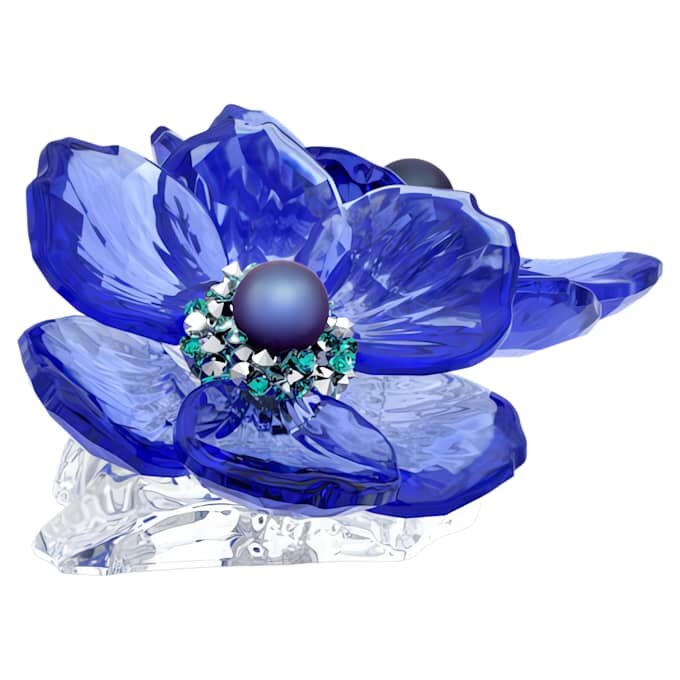 Fleur d’anémone coronaria Idyllia SCS Fleur d’anémone coronaria Idyllia SCS