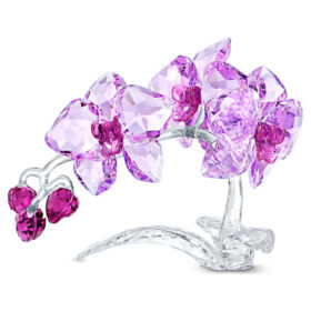 Fleurs de cristal Orchidée
