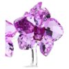 Fleurs de cristal Orchidée