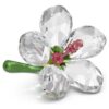 Florere Hibiscus Petit