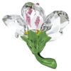 Florere Hibiscus Petit