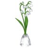 Florere Muguet