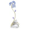Florere Myosotis Florere Myosotis