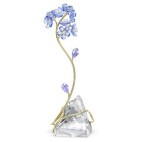 Florere Myosotis