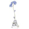 Florere Myosotis Florere Myosotis
