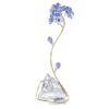 Florere Myosotis Florere Myosotis
