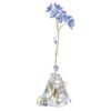 Florere Myosotis Florere Myosotis