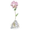 Florere Rose Florere Rose
