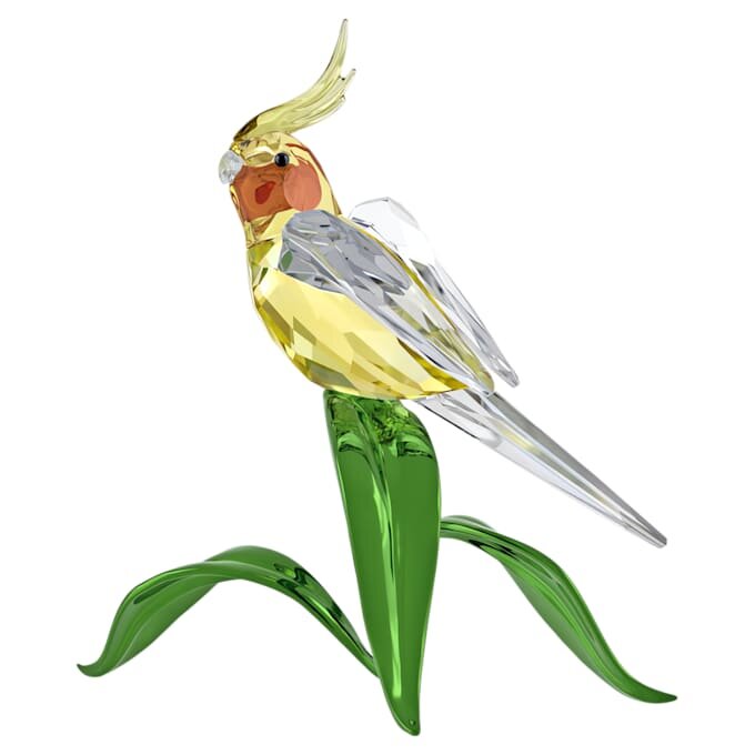 Idyllia Cockatiel Idyllia Cockatiel