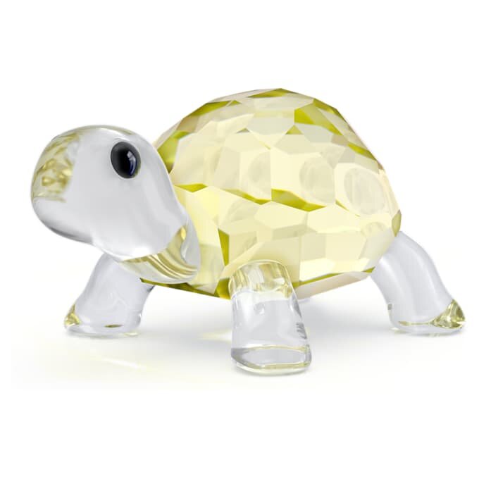Idyllia, la petite tortue Idyllia, la petite tortue