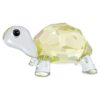 Idyllia, la petite tortue Idyllia, la petite tortue
