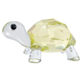 Idyllia, la petite tortue