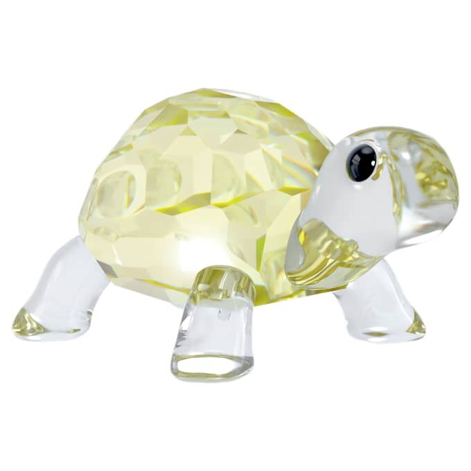 Idyllia, la petite tortue Idyllia, la petite tortue