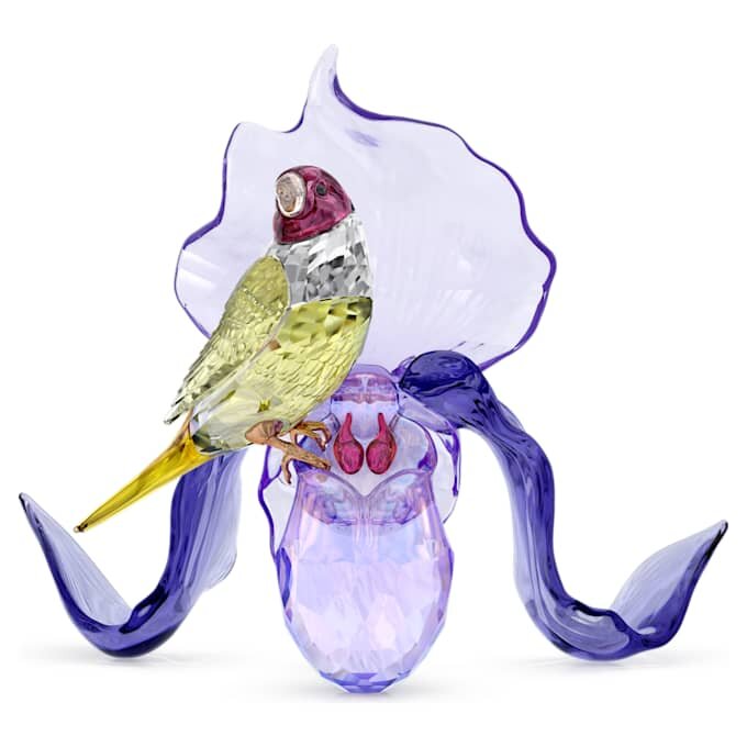 Idyllia : le diamant de Gould et l’orchidée Idyllia : le diamant de Gould et l’orchidée
