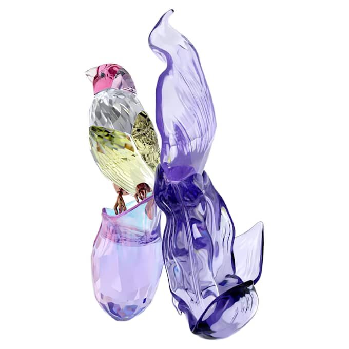 Idyllia : le diamant de Gould et l’orchidée Idyllia : le diamant de Gould et l’orchidée