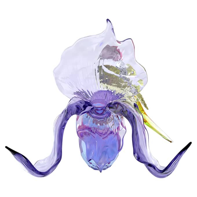 Idyllia : le diamant de Gould et l’orchidée Idyllia : le diamant de Gould et l’orchidée