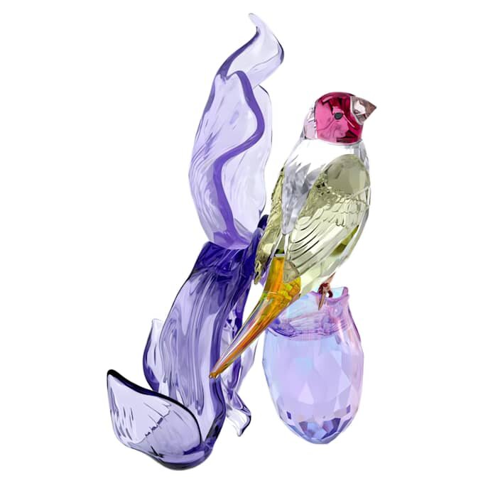 Idyllia : le diamant de Gould et l’orchidée Idyllia : le diamant de Gould et l’orchidée