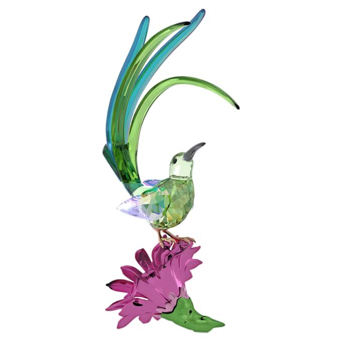 Idyllia : Oiseau-sucre et fleur de cactus Idyllia : Oiseau-sucre et fleur de cactus