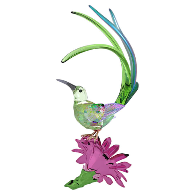 Idyllia : Oiseau-sucre et fleur de cactus Idyllia : Oiseau-sucre et fleur de cactus