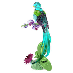 Idyllia Quetzal et Orchidée