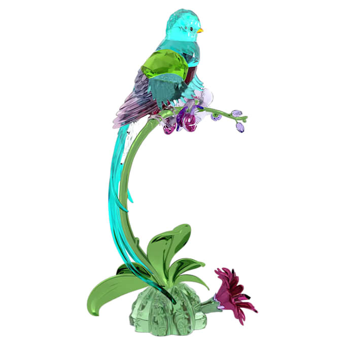 Idyllia Quetzal et Orchidée Idyllia Quetzal et Orchidée