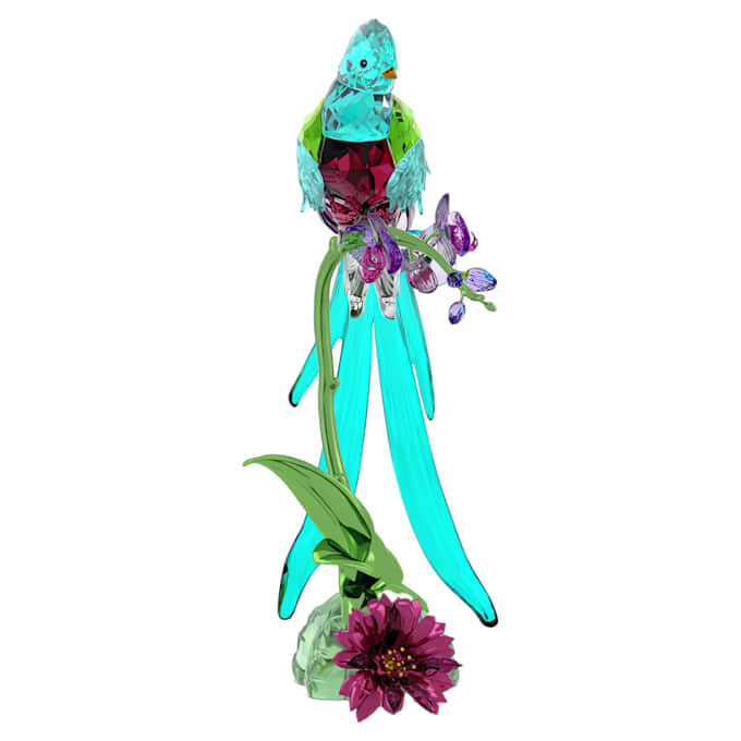 Idyllia Quetzal et Orchidée Idyllia Quetzal et Orchidée